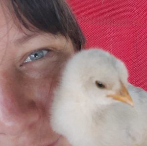 Meet your Posher, Jamie